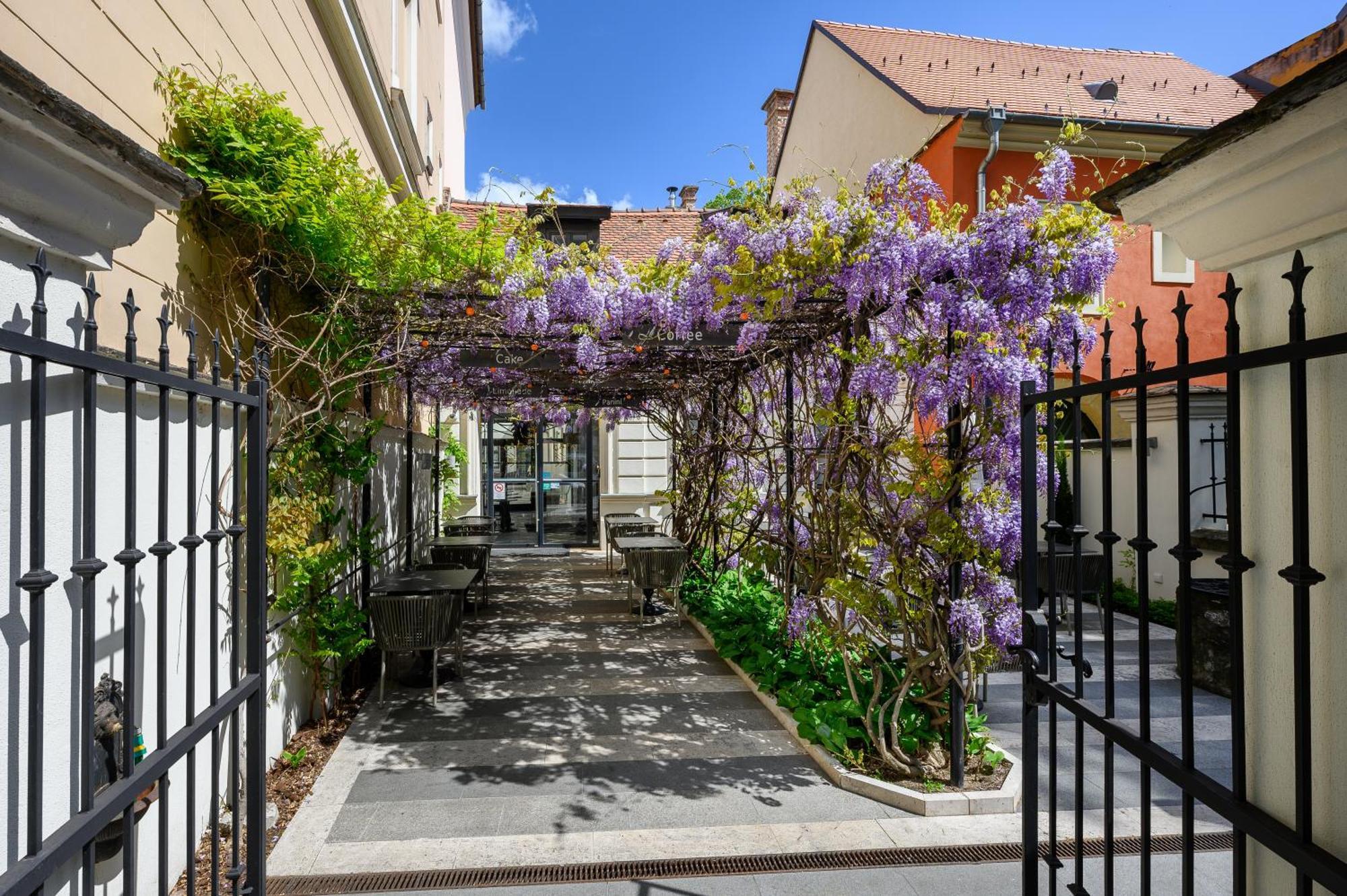 Maison Bistro & בודפשט